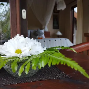Couette-café Umah, Ubud