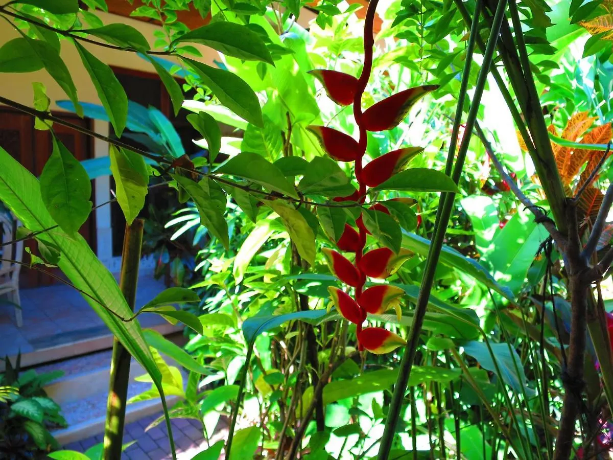 Ladybamboo Bed & Breakfast Ubud