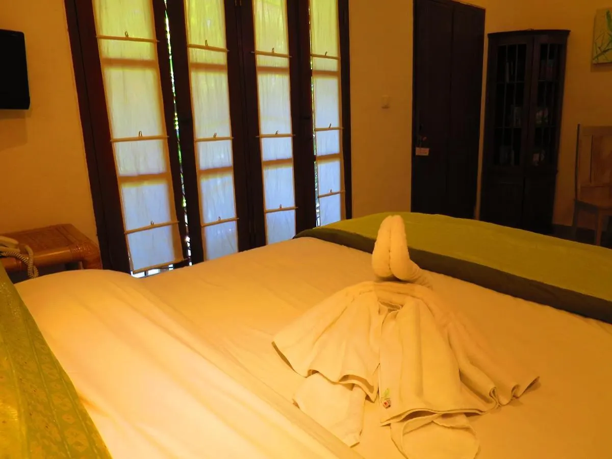 Ladybamboo Bed & Breakfast Ubud  Indonesia